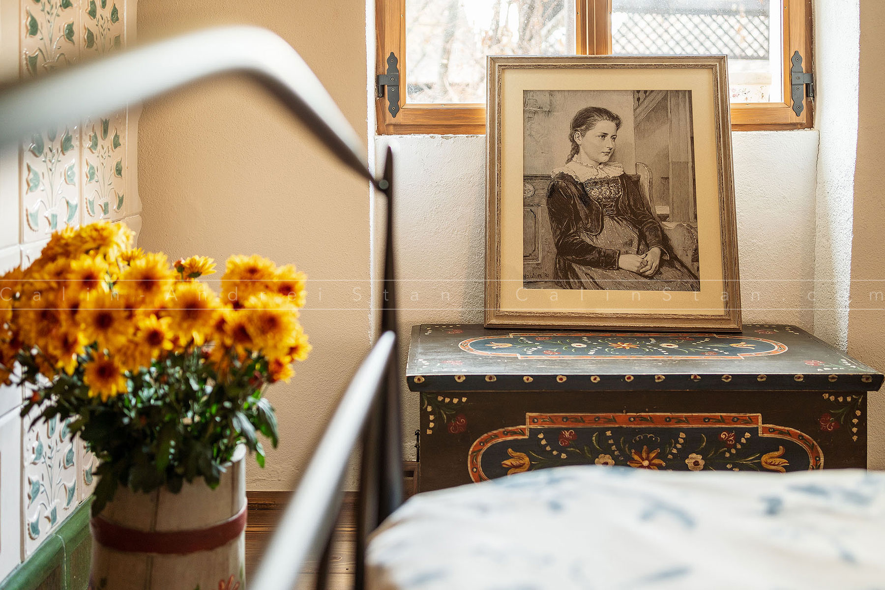 Fotografii pensiune Casa Kraus Crit