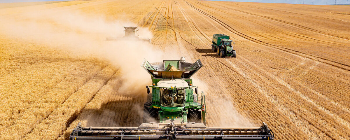 Fotografii agricultura si domeniul agricol
