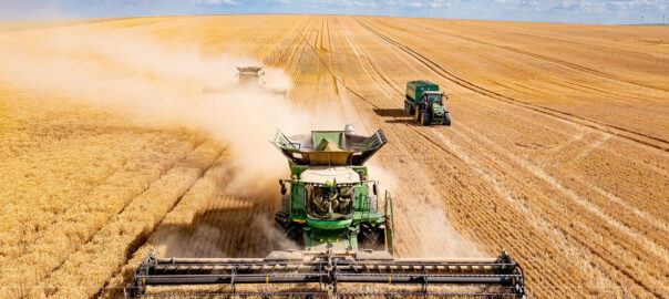 Fotografii agricultura si domeniul agricol