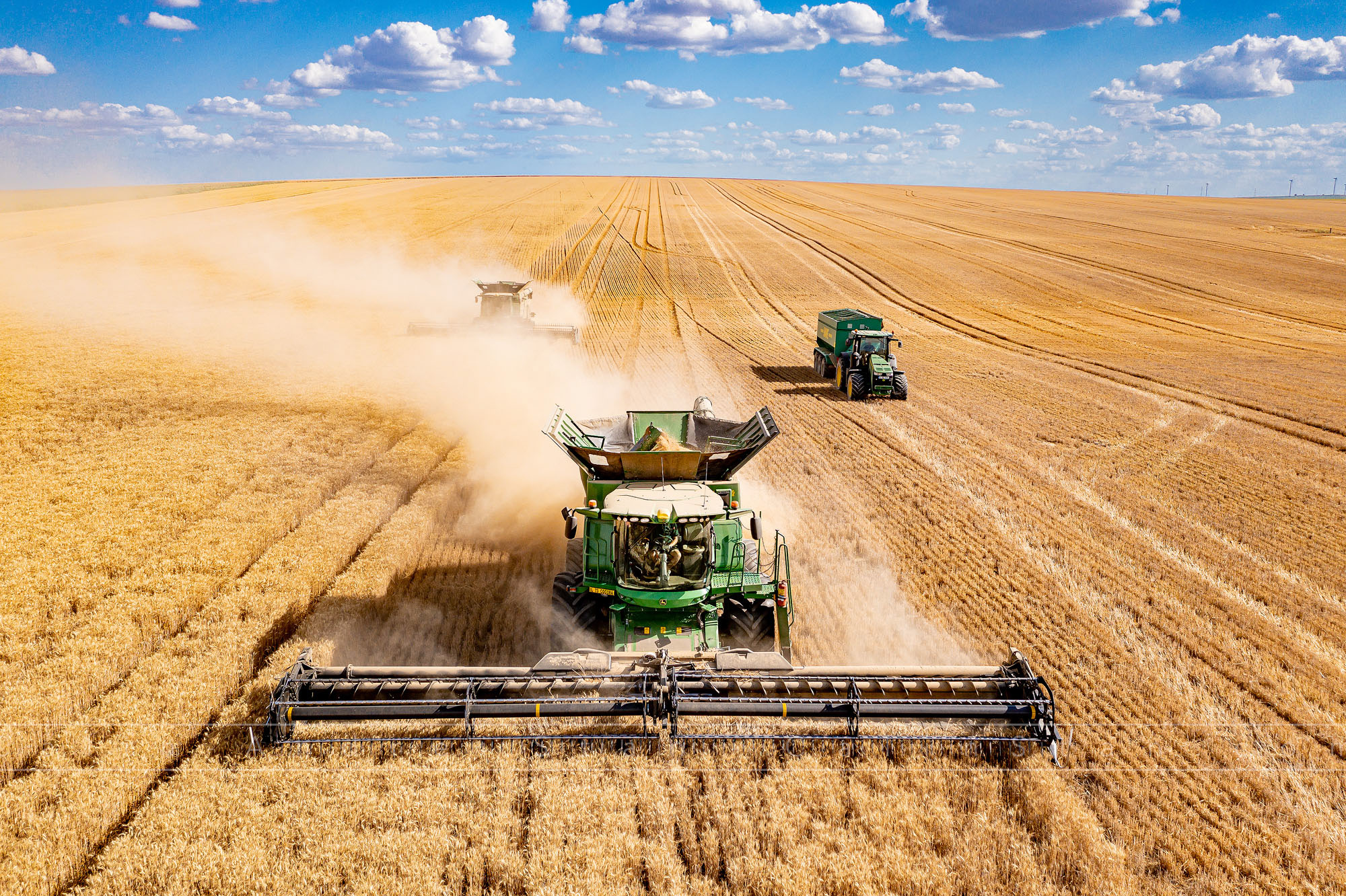 Fotografii agricultura si domeniul agricol