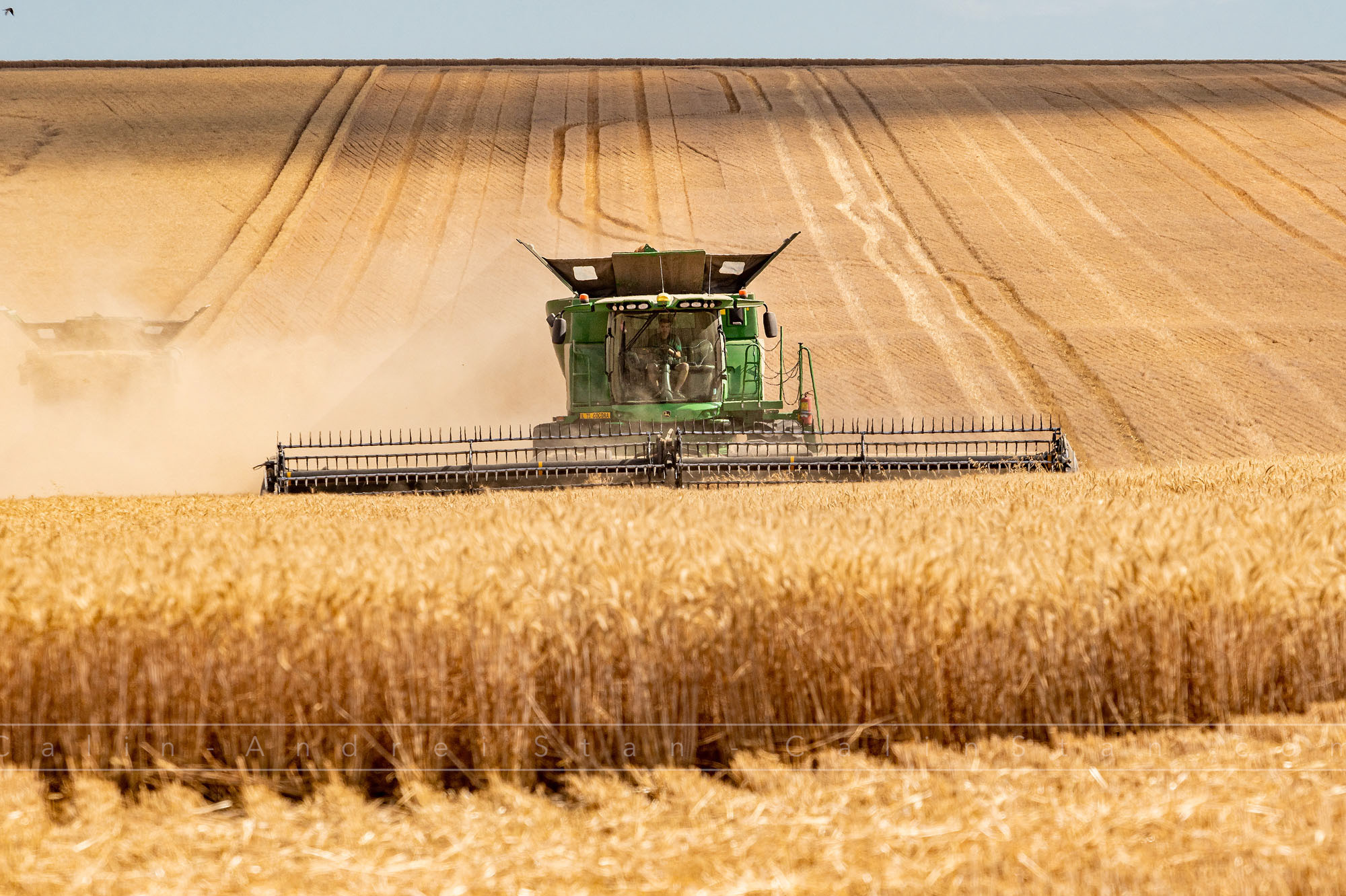 Fotografii agricultura si domeniul agricol