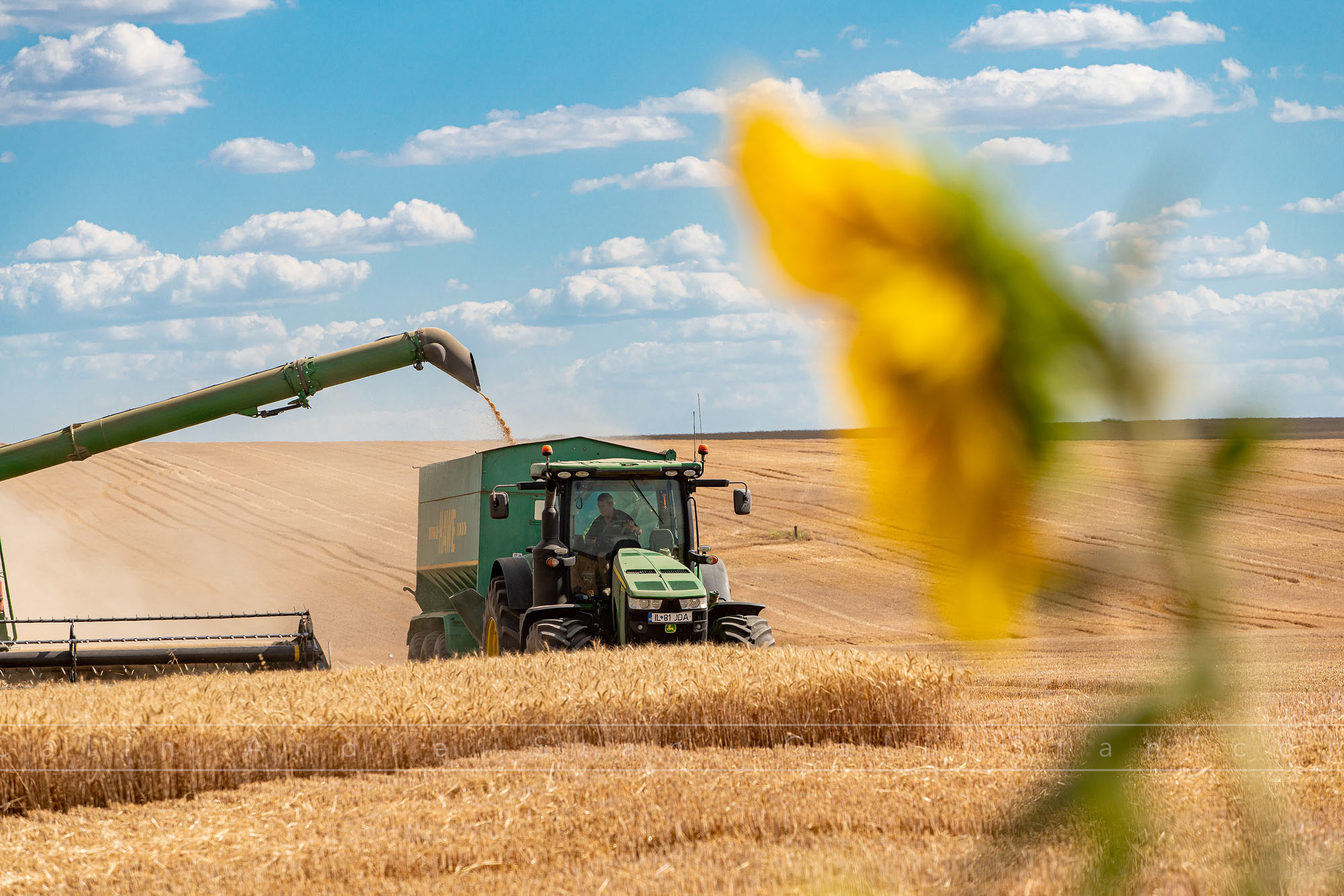 Fotografii agricultura si domeniul agricol