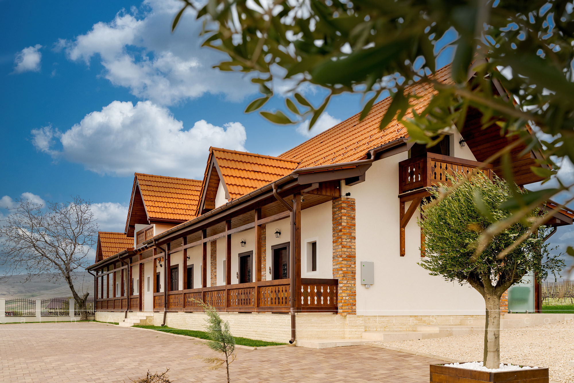 Crama Licorna – fotografii care surprind eleganța vinului, arhitectura locului și atmosfera din Dealul